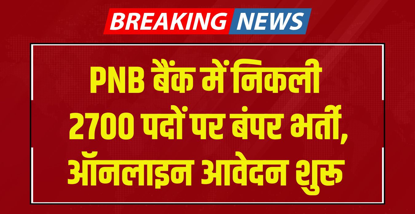 PNB Apprentice Recruitment 2024